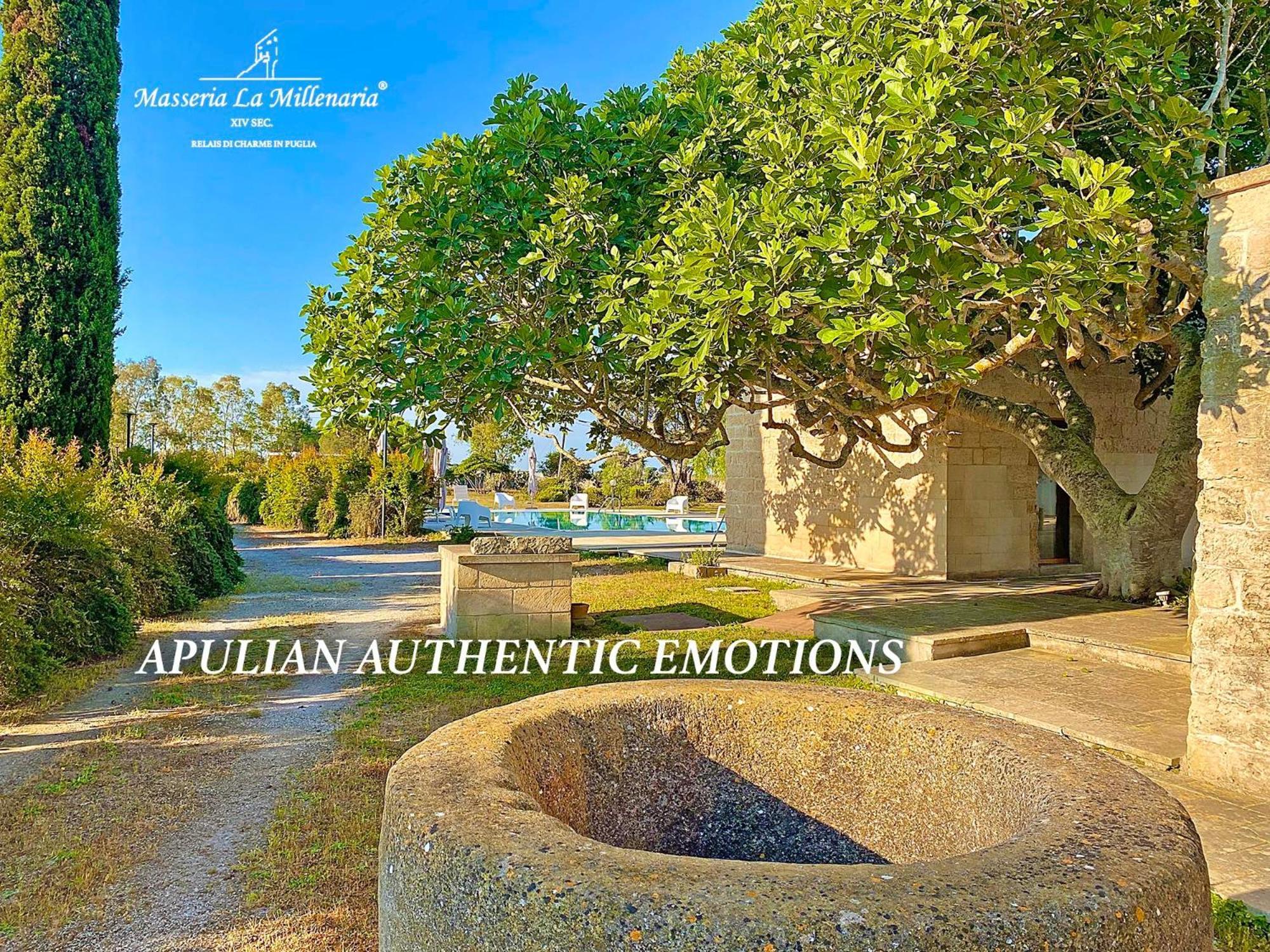 Masseria La Millenaria ซานโฟกา ภายนอก รูปภาพ